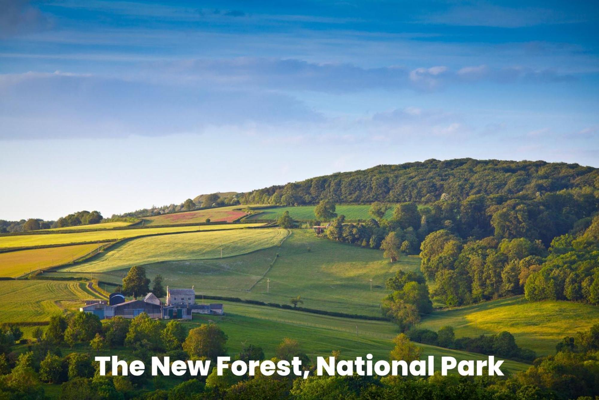 Cosy Retreat Near New Forest Ellingham  Ngoại thất bức ảnh
