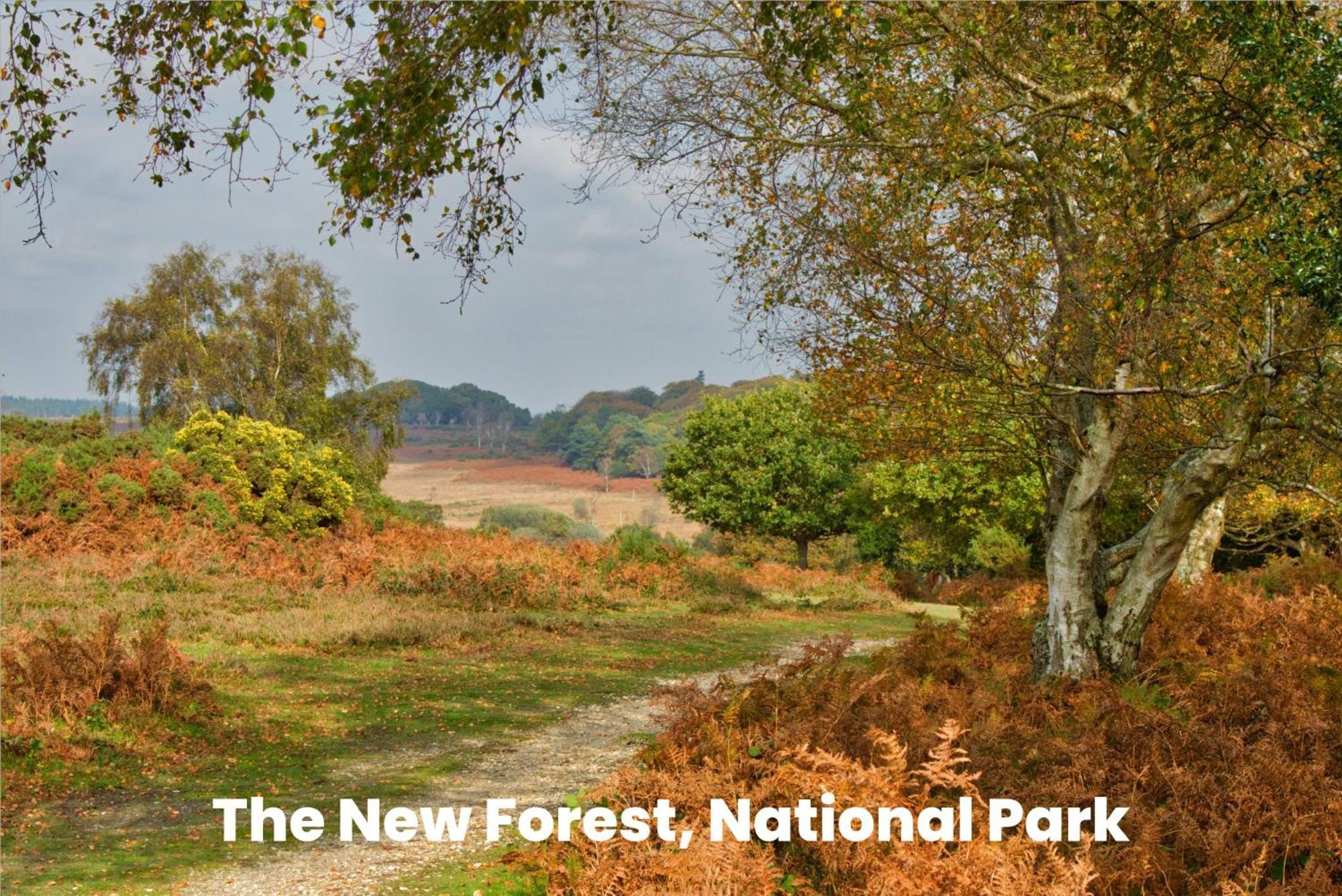 Cosy Retreat Near New Forest Ellingham  Ngoại thất bức ảnh