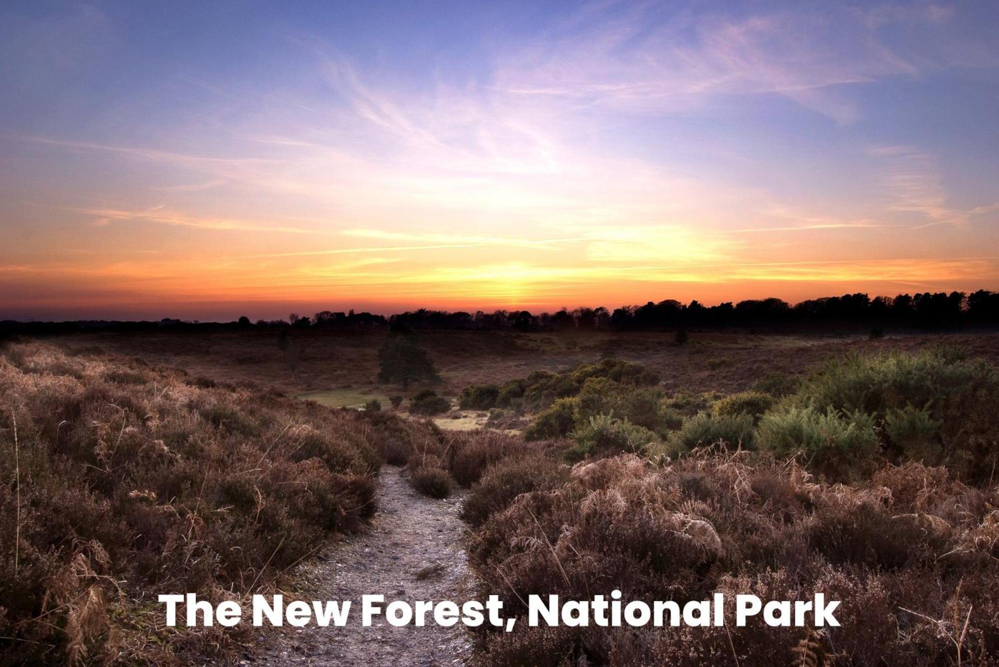 Cosy Retreat Near New Forest Ellingham  Ngoại thất bức ảnh