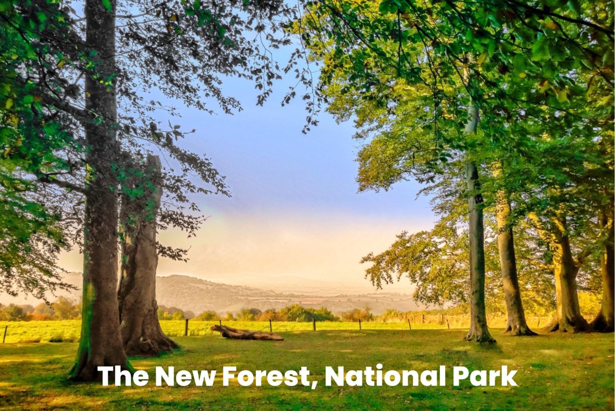Cosy Retreat Near New Forest Ellingham  Ngoại thất bức ảnh