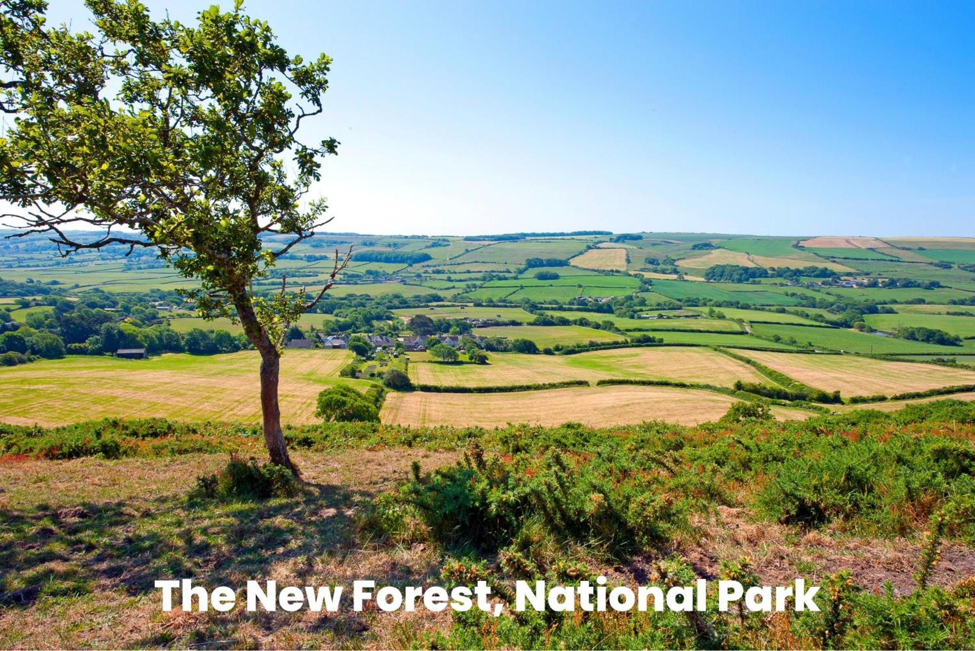 Cosy Retreat Near New Forest Ellingham  Ngoại thất bức ảnh